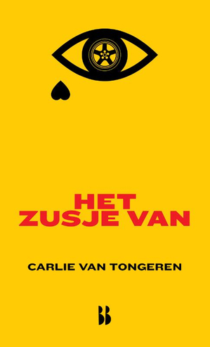 9789463492225 - Het zusje van