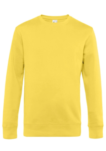 9990002087905 - KTA Zavelenberg sweater geel maat M